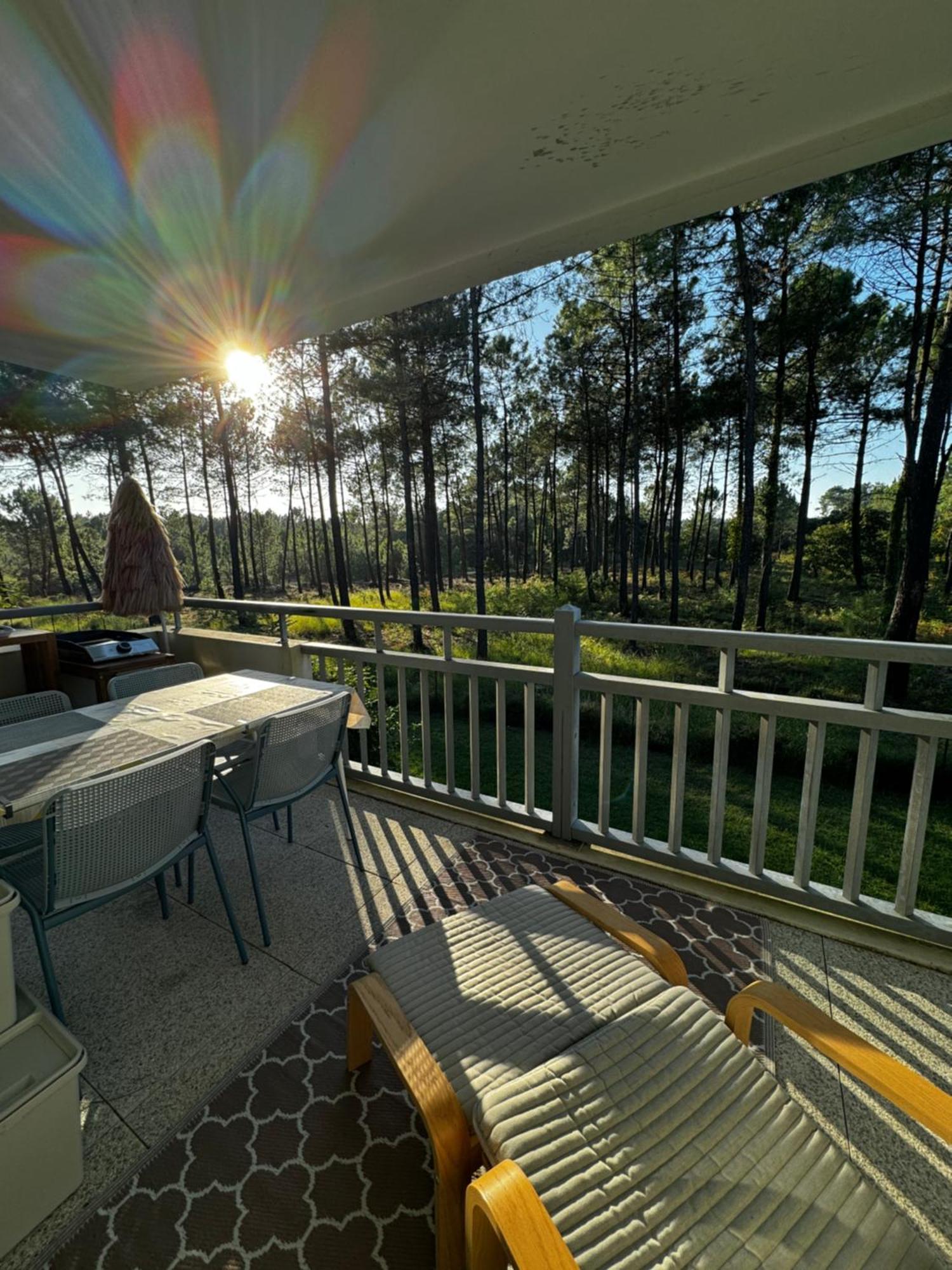 La Foret Des Pins - Free Check-In - Wifi - Parking Prive - Netflix - Draps & Serviettes Inclus Labenne Esterno foto
